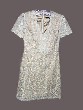 WHBM ECRU LACE DRESS WITH CHAMPAGNE BLUSH LINING AND ZIPPERED BACK CLOSURE SZ 0